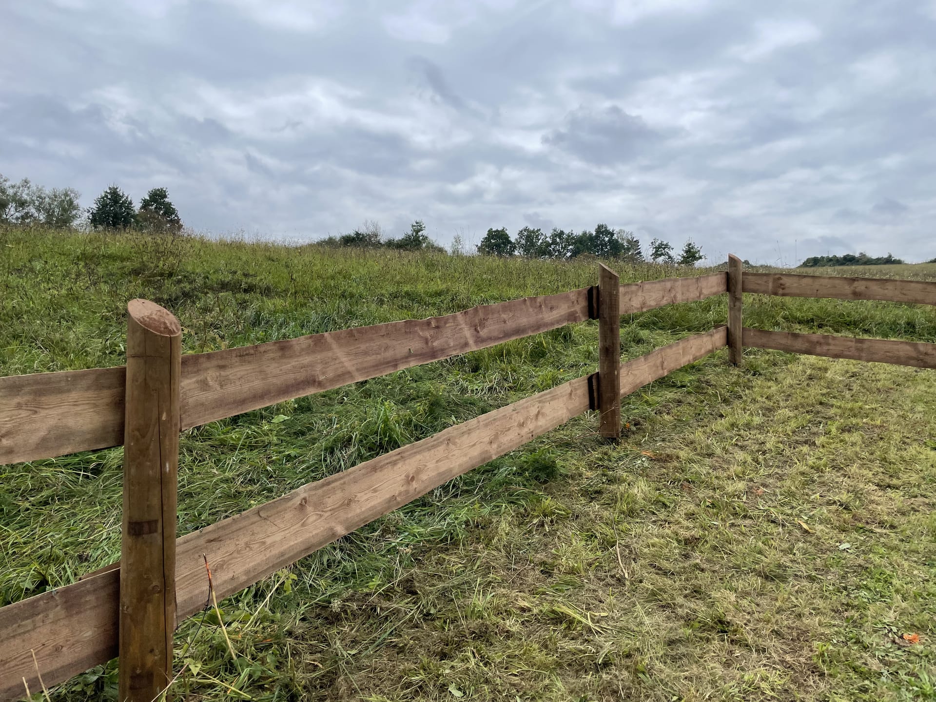 Obrázek 9 / Dřevěné ploty - ručně opracovaný   - realizace Ctiboř 9-2021